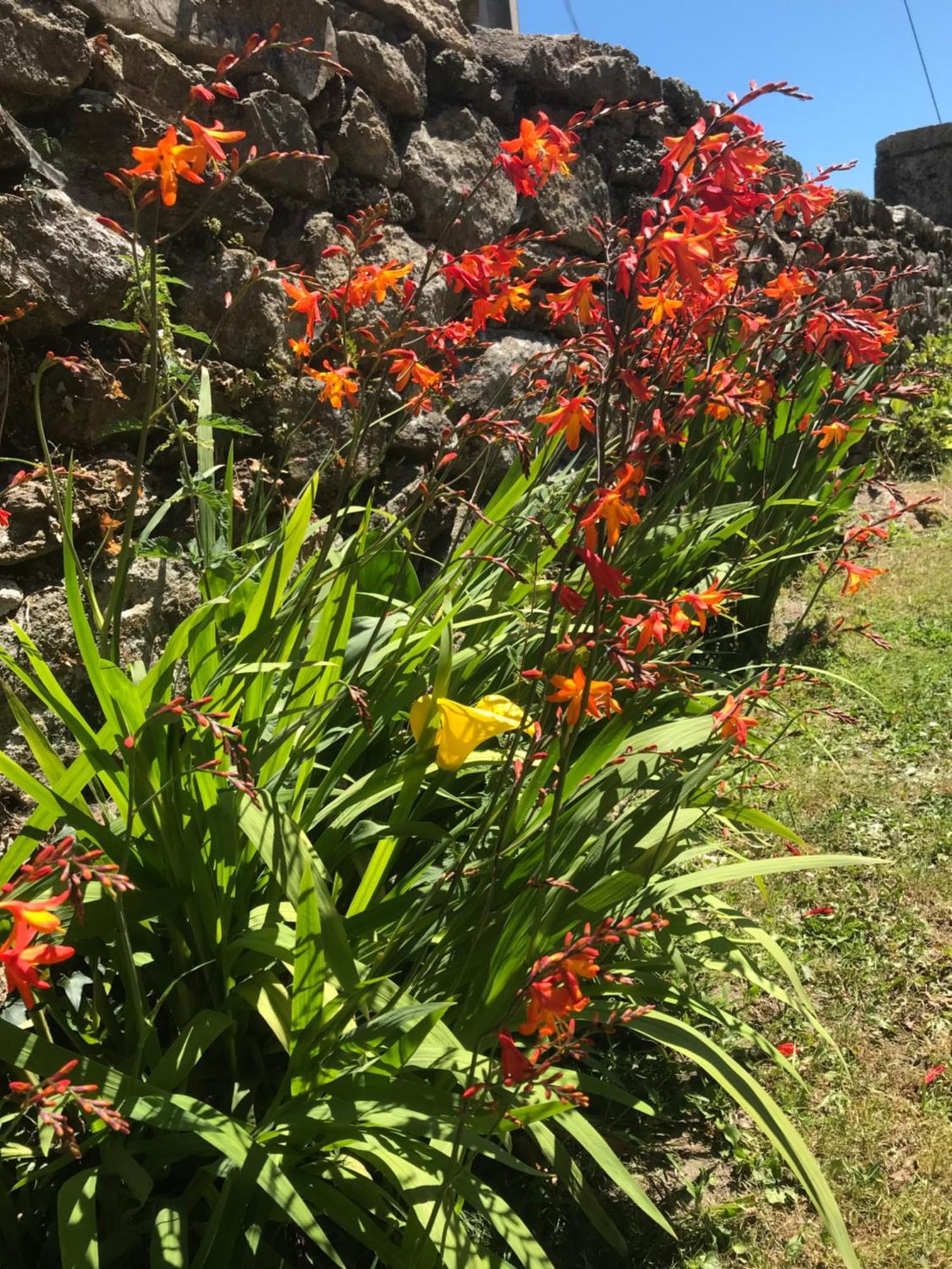 Casa A Canteira Hébergement de vacances